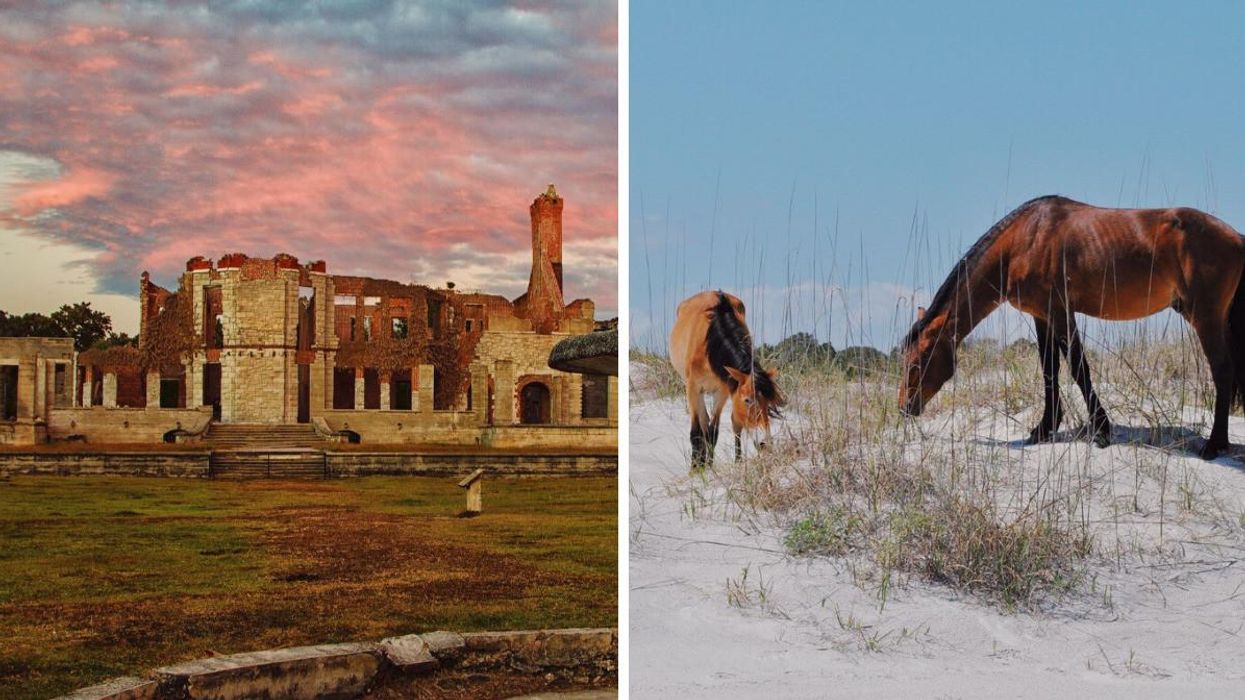 The Dungeness Ruins at sunset. Right: Wild horses on the beach at Cumberland Island.
