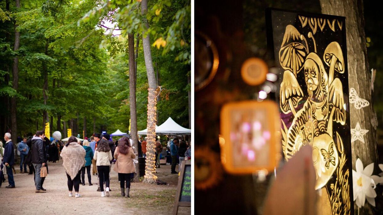 The Enchanted Forest of Fergus.