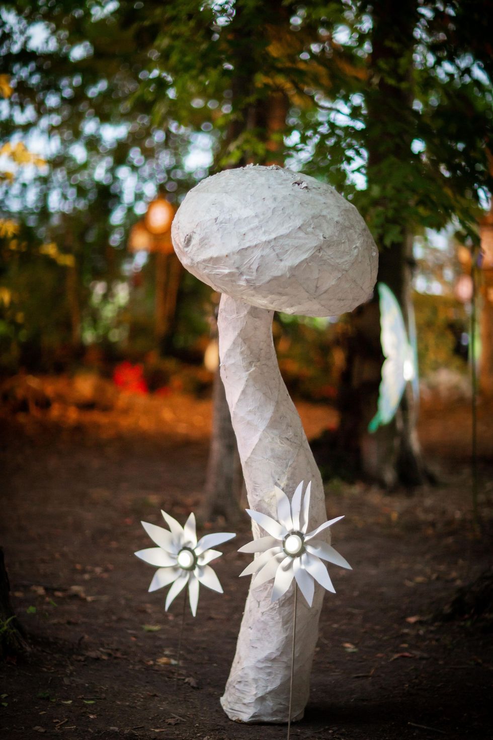 The Enchanted Forest of Fergus.