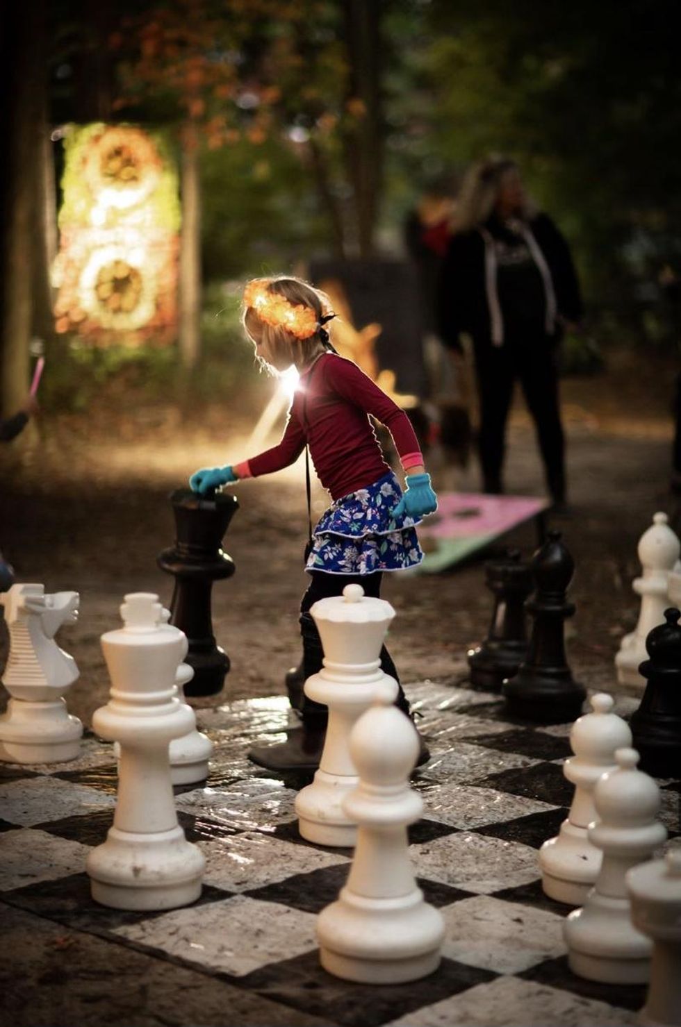 The Enchanted Forest of Fergus.