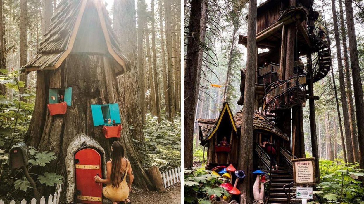 The Enchanted Forest. Right: The Enchanted Forest.