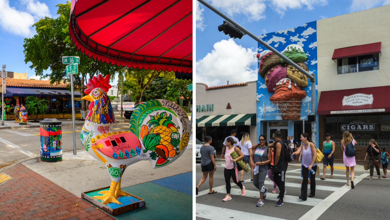 The famous Calle Ocho rooster statue. Right: People crossing the street.