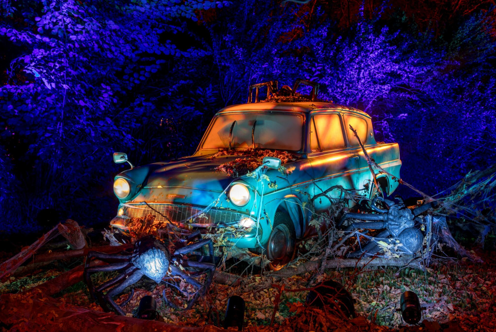 The famous Weasly car, covered in giant spiders.