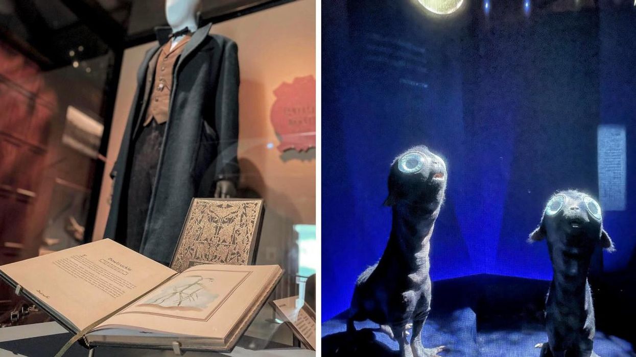 The Fantastic Beasts: The Wonder of Nature Exhibit at the Natural History Museum in England.