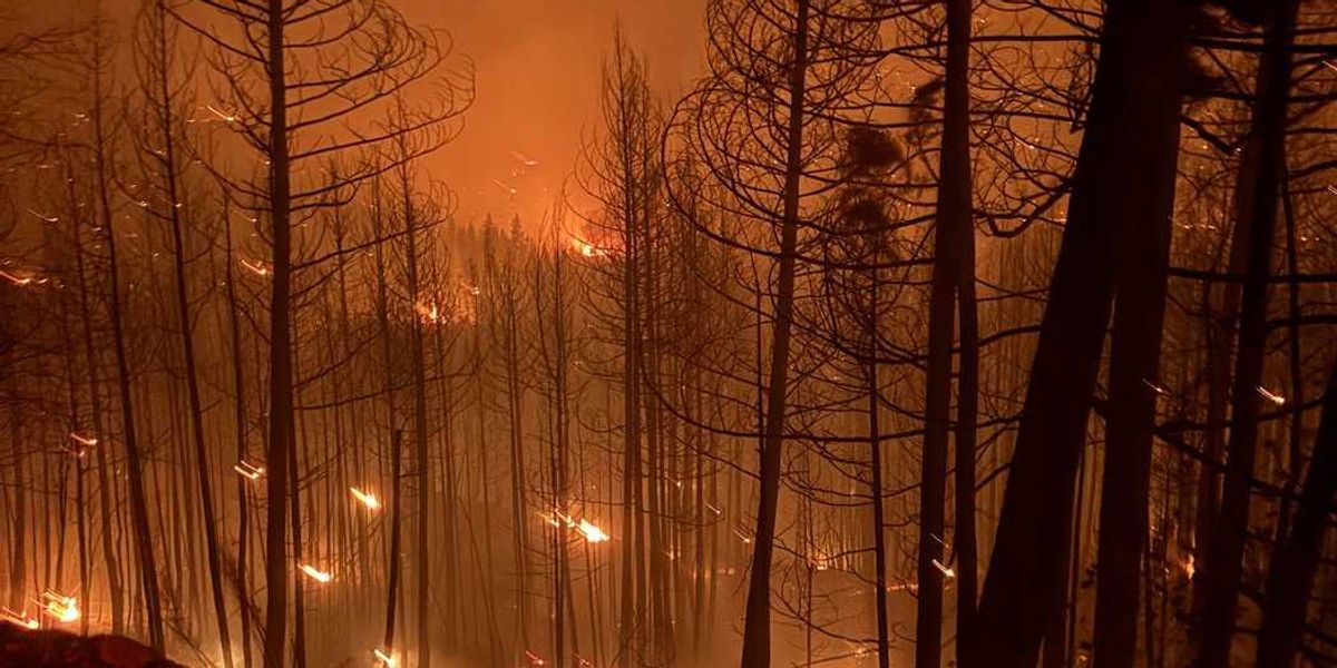 The fight for Faulder: When B.C. brothers fought to save home from raging fire The fight for Faulder: When B.C. brothers fought to save home from raging fire