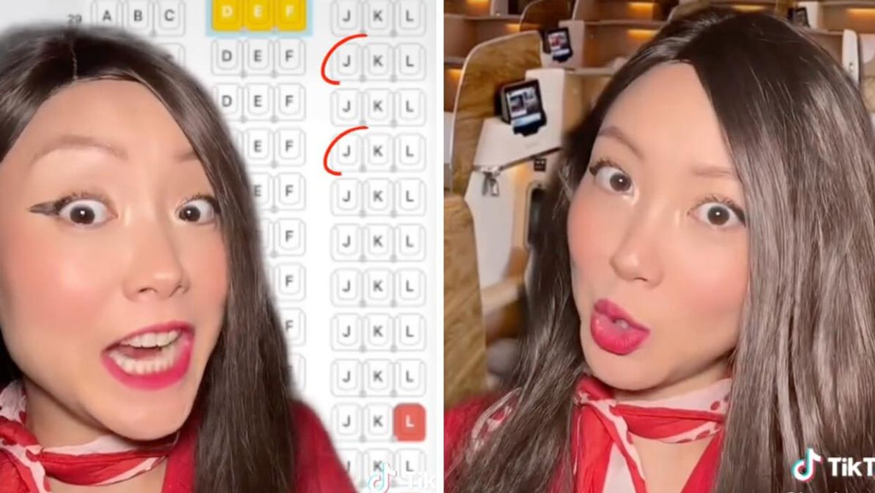 The flight attendants TikTok.