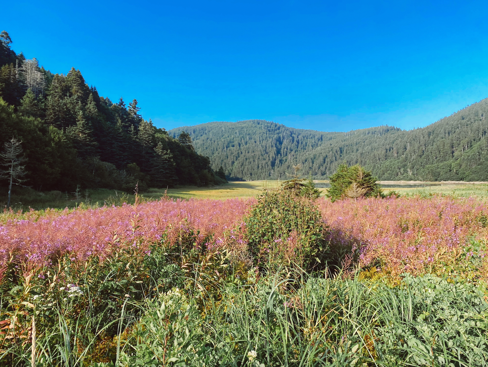 The Fundy Footpath trail.