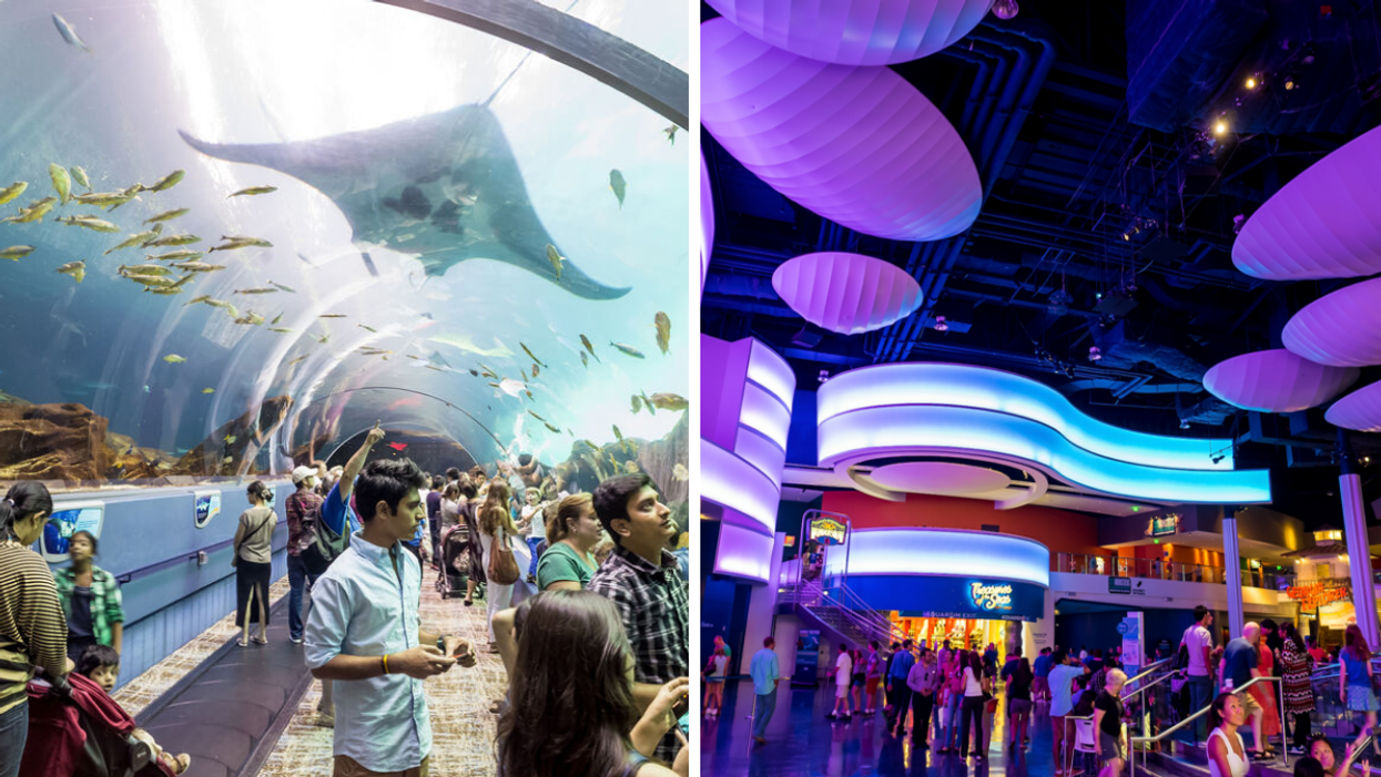 The Georgia Aquarium tunnel. Right: The interior of the Georgia Aquarium.