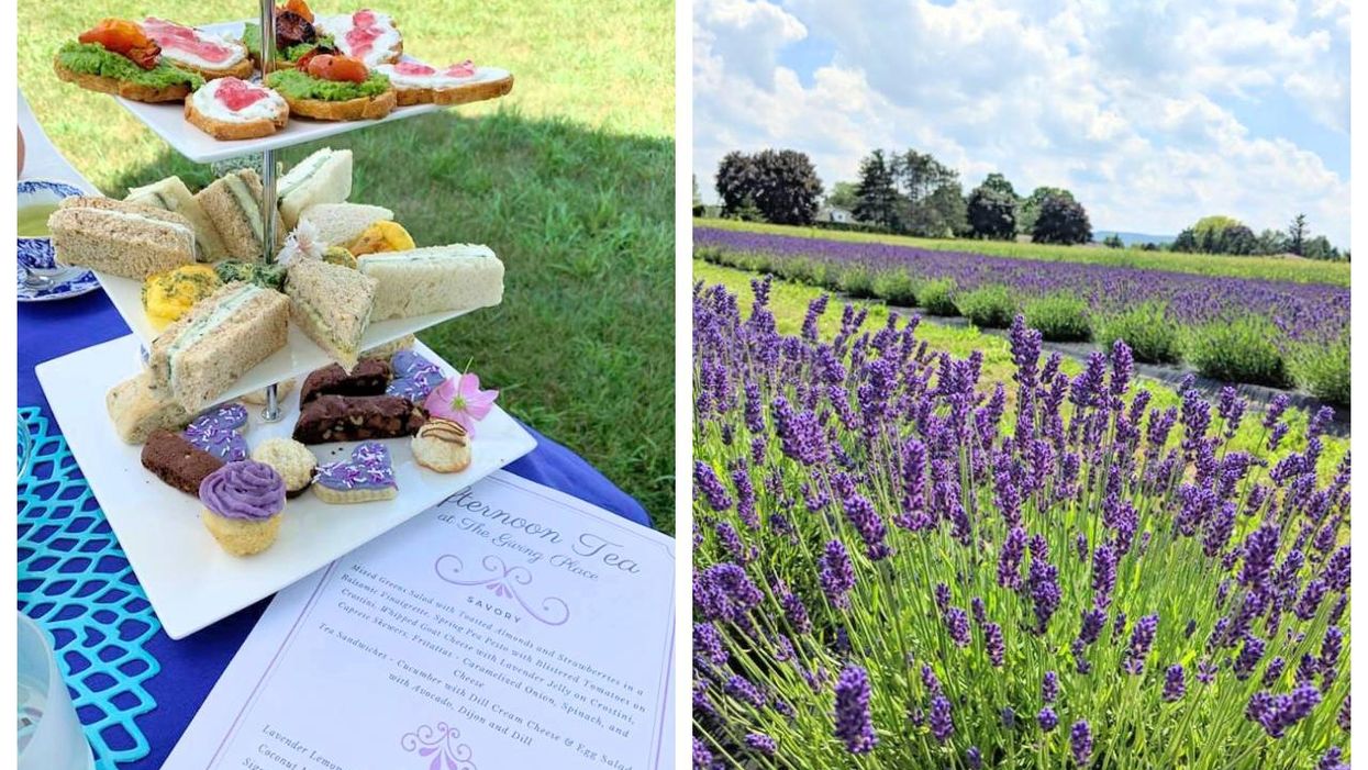 The Giving Place Near Toronto Is Hosting High Tea In Lavender Fields