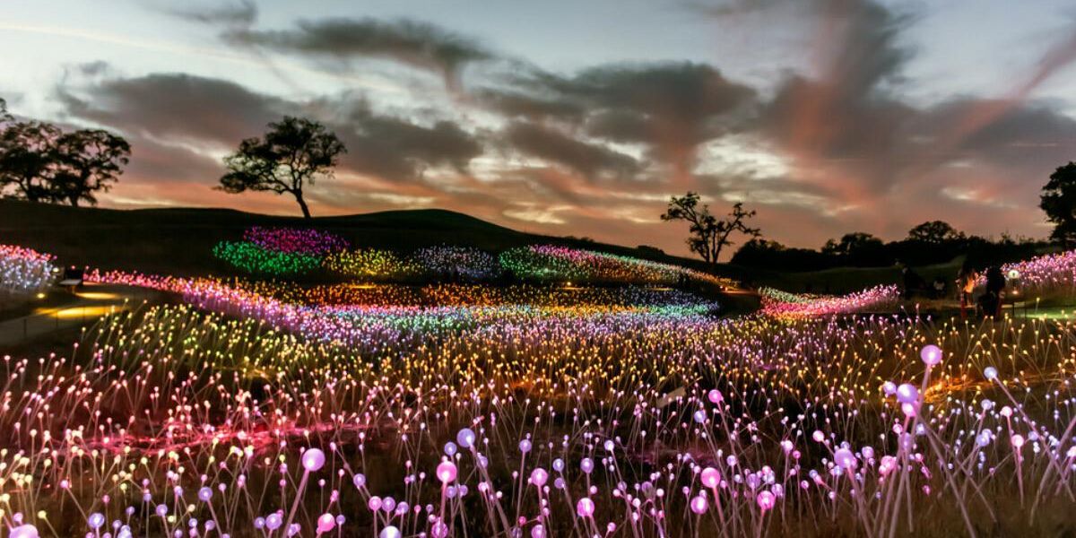 You Can Walk Through A Glowing Field Of Lights At This Magical Spot In you-can-walk-through-a-glowing-field-of-lights-at-this-magical-spot-in