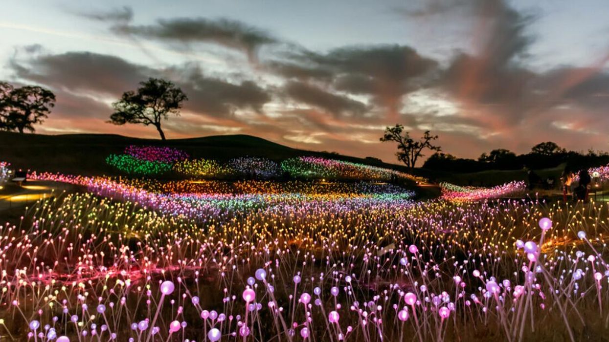 The glowing field of lights in Paso Nobles, CA.