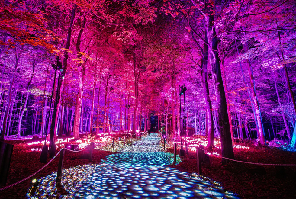 The glowing illuminated trail.