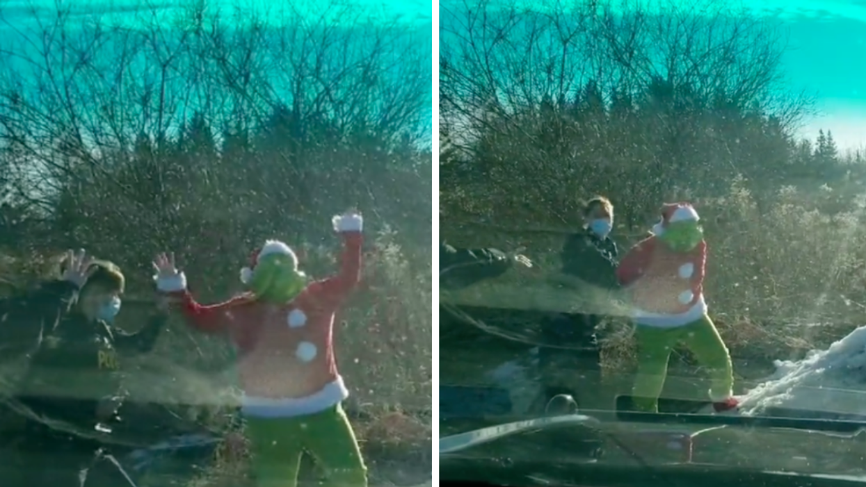 The Grinch Was Arrested By Ontario Police On Christmas Morning & Honestly He Had It Coming