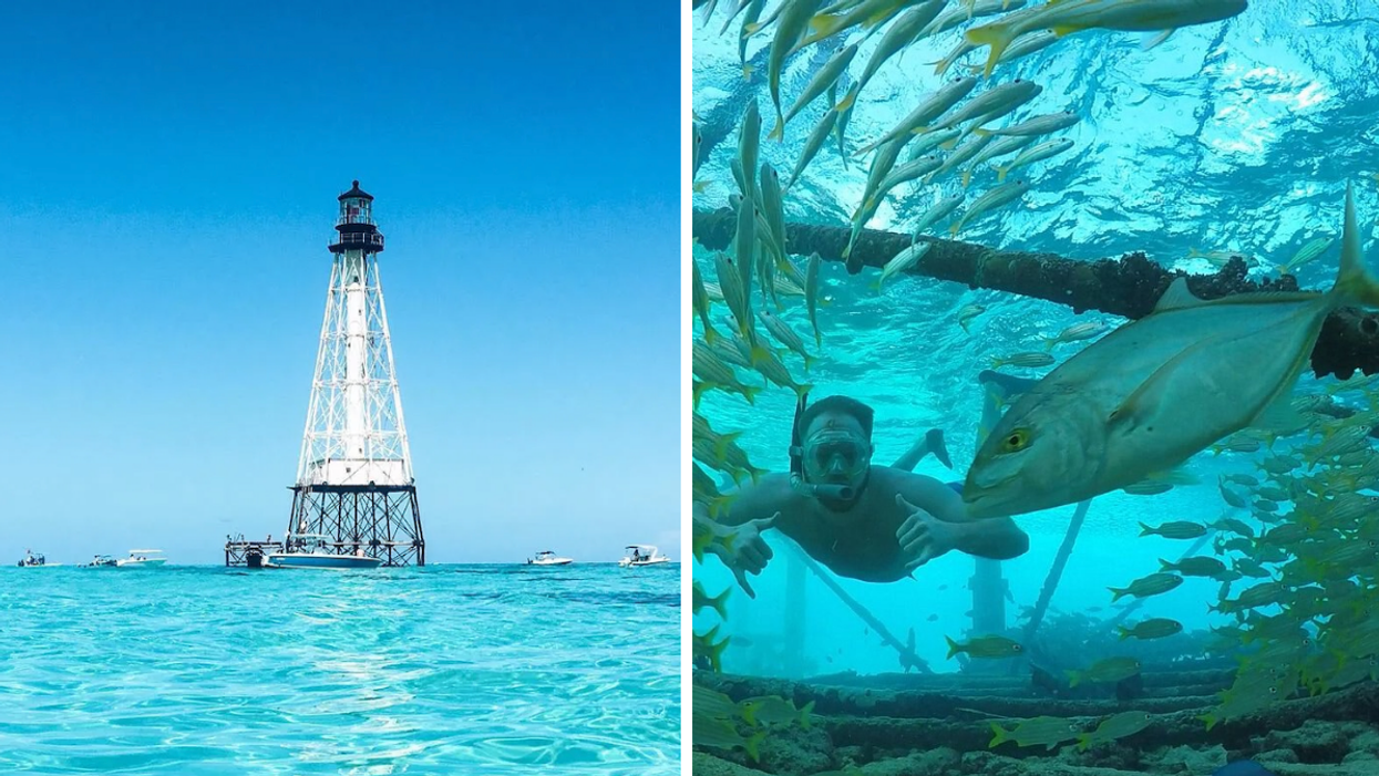 The landscape of Alligator Reef and its lighthouse. Right: A man snorkeling under the lighthouse with fish.