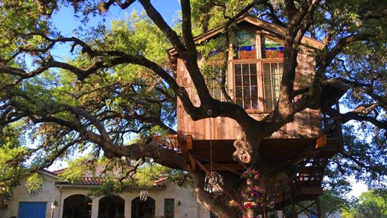 The Laurel Tree restaurant's treehouse dining room.