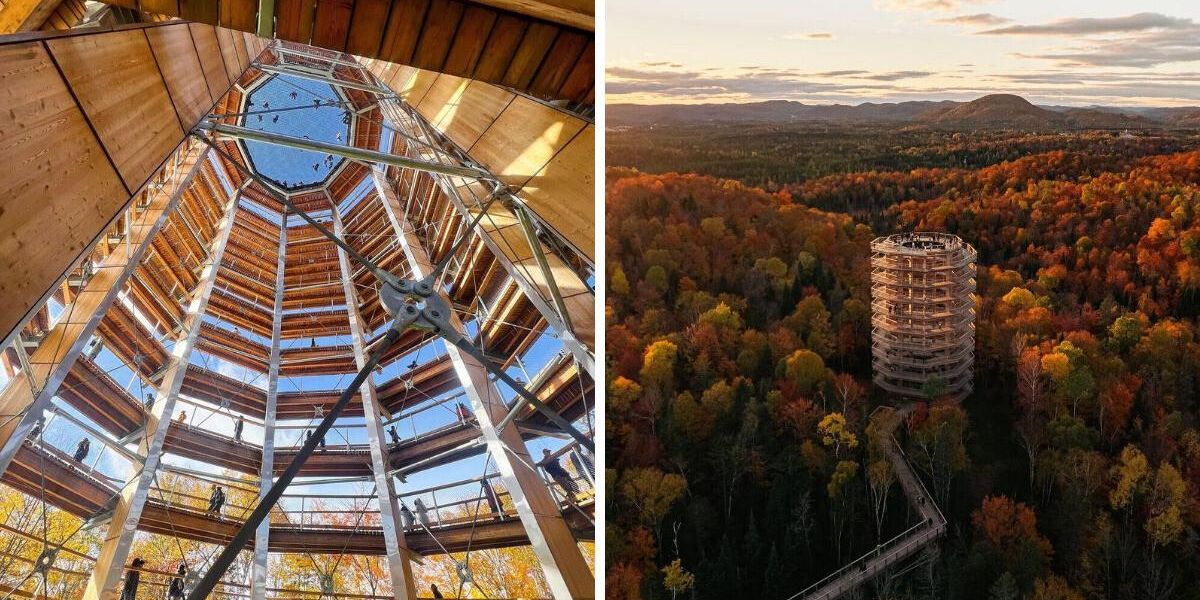 This Lookout Tower In Canada Soars Above The Trees & Offers Incredible ...
