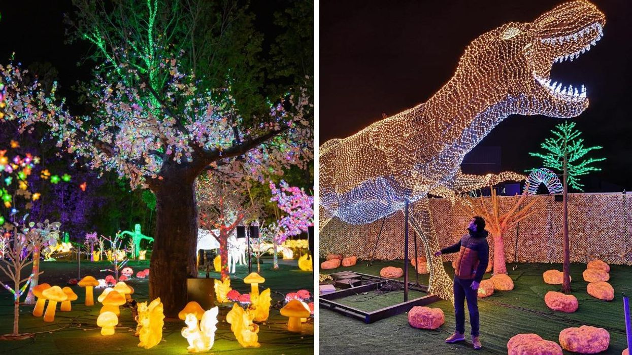 The Magic Forest at Illumi Laval. Right: A person stands under a glowing dinosaur at Illumi.