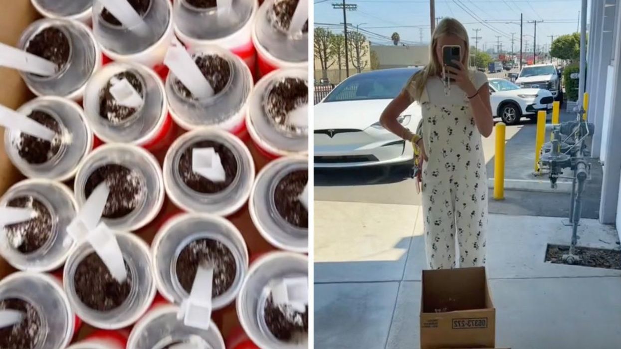 The McFlurries. Right: The TikToker with the boxes full of McFlurries.