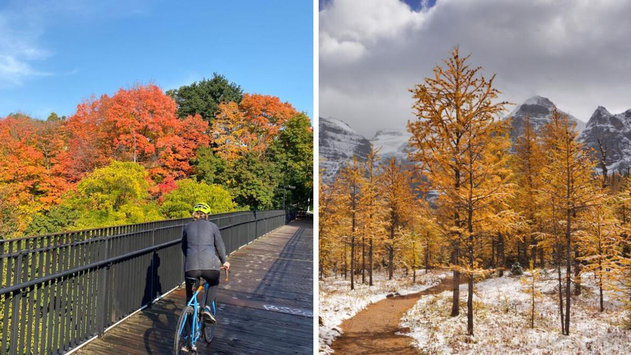 The Month-By-Month Fall Forecast For Each Province Is Out & Nobody Will Escape Snow