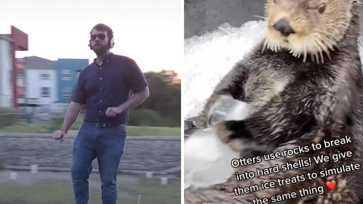 The Most Popular TikTok Video Of 2021 Includes Justin Bieber & It's Not What You Expect