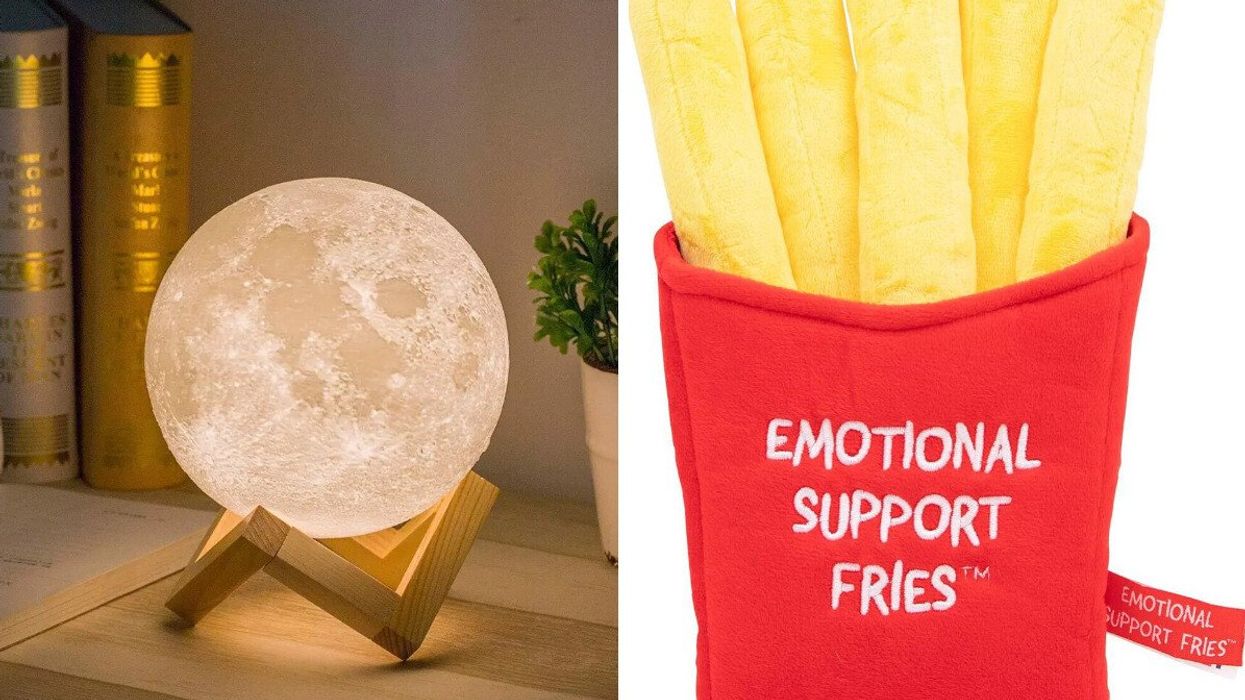 The Mydethun Moon Lamp on a shelf. Right: The emotional support fries plushie.