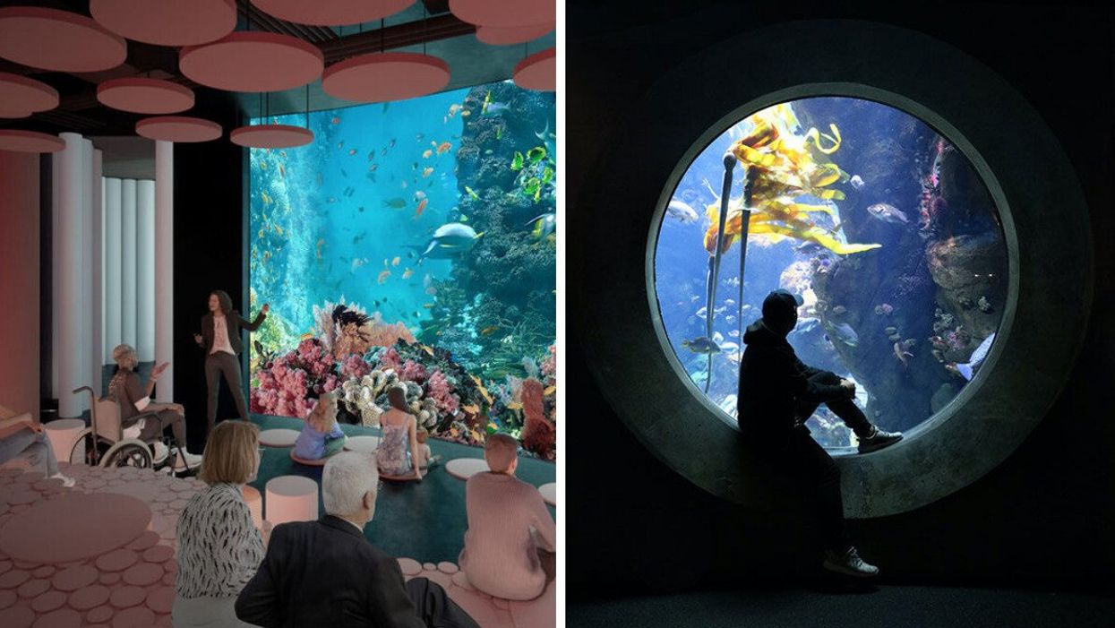 The new Aquarium de Montréal. Right: A visitor looks at fish in an aquarium. 