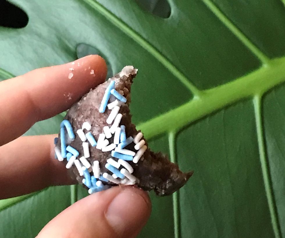 The Next Gen Timbit.