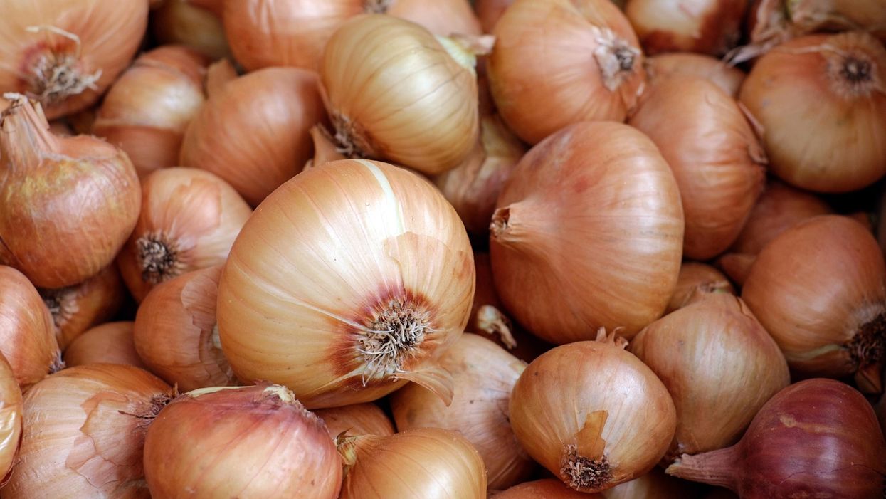 The Onion Recall In Canada Just Keeps Getting Bigger & Now 14 Brands Are Unsafe To Eat