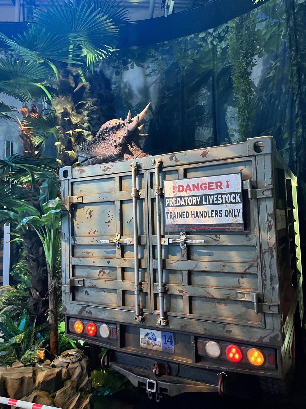 The pachycephalosaurus