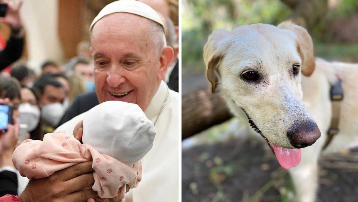 The Pope Said Having Pets Over Kids Is 'Selfish' & Pet Parents Are Pushing Back