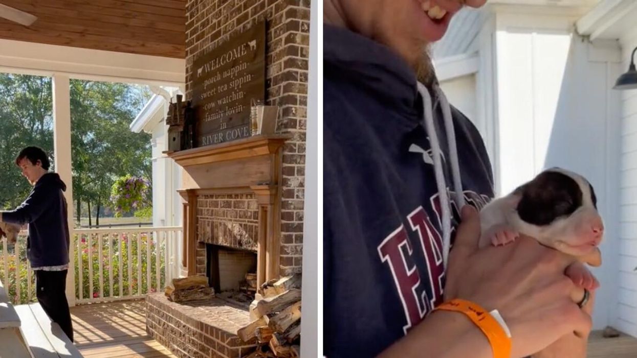 The porch at the Quiet Country Farmhouse stay in Georgia. Right: A tiny puppy from the Airbnb in Georgia.
