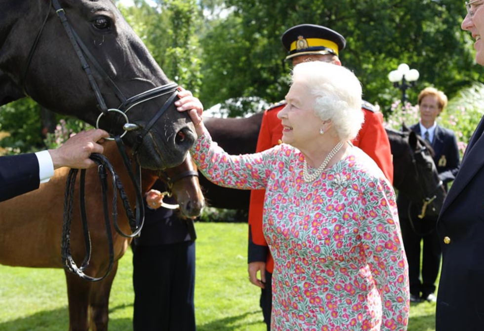The queen strokes an RCMP horse.