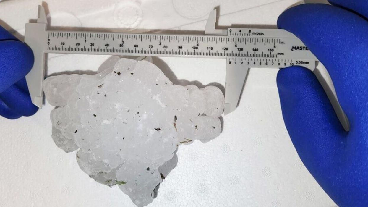 The record-breaking hailstone.