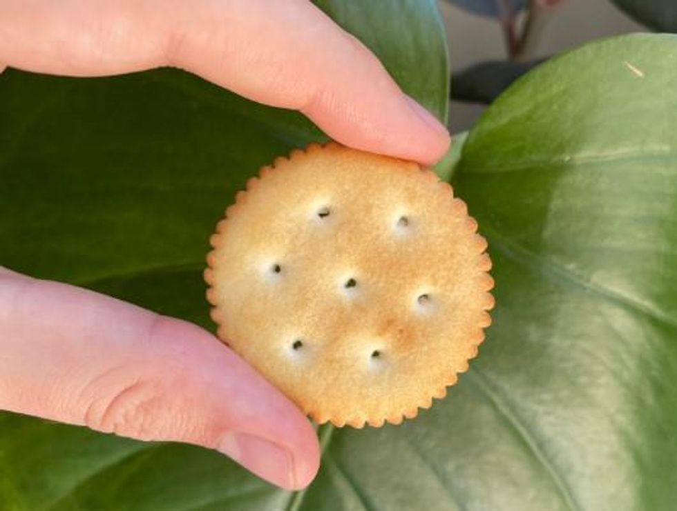 The small cracker held by two fingers.