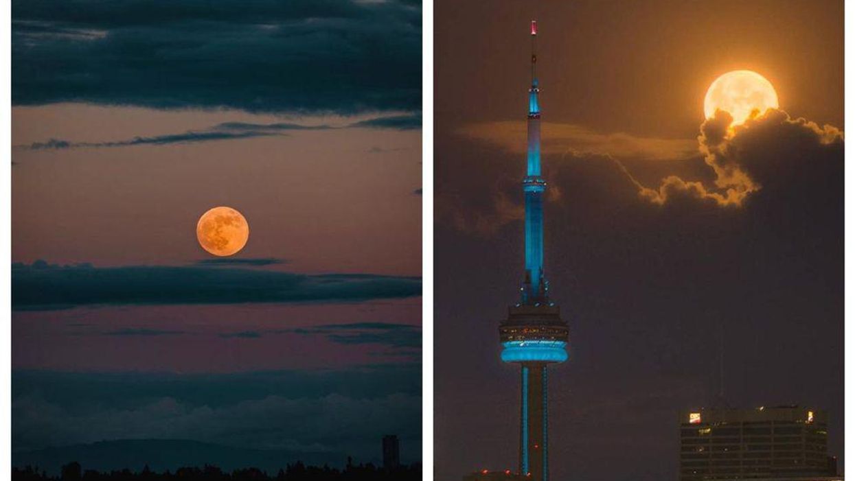 The Super Flower Blood Moon Was Stunning Last Night (PHOTOS)