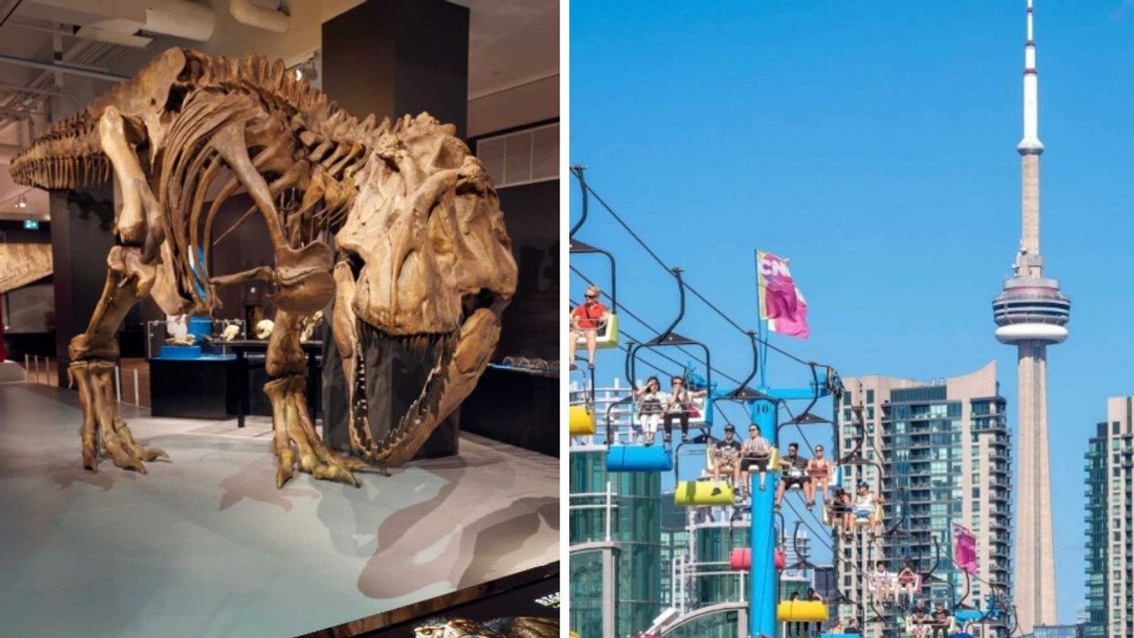 The T.Rex at the ROM. Right: A ride at the CNE with the CN Tower in the background.