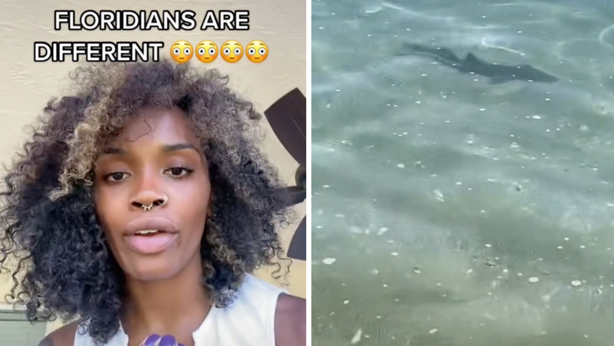 The TikToker explaining what she was afraid of. Right: The baby shark she was afraid of.