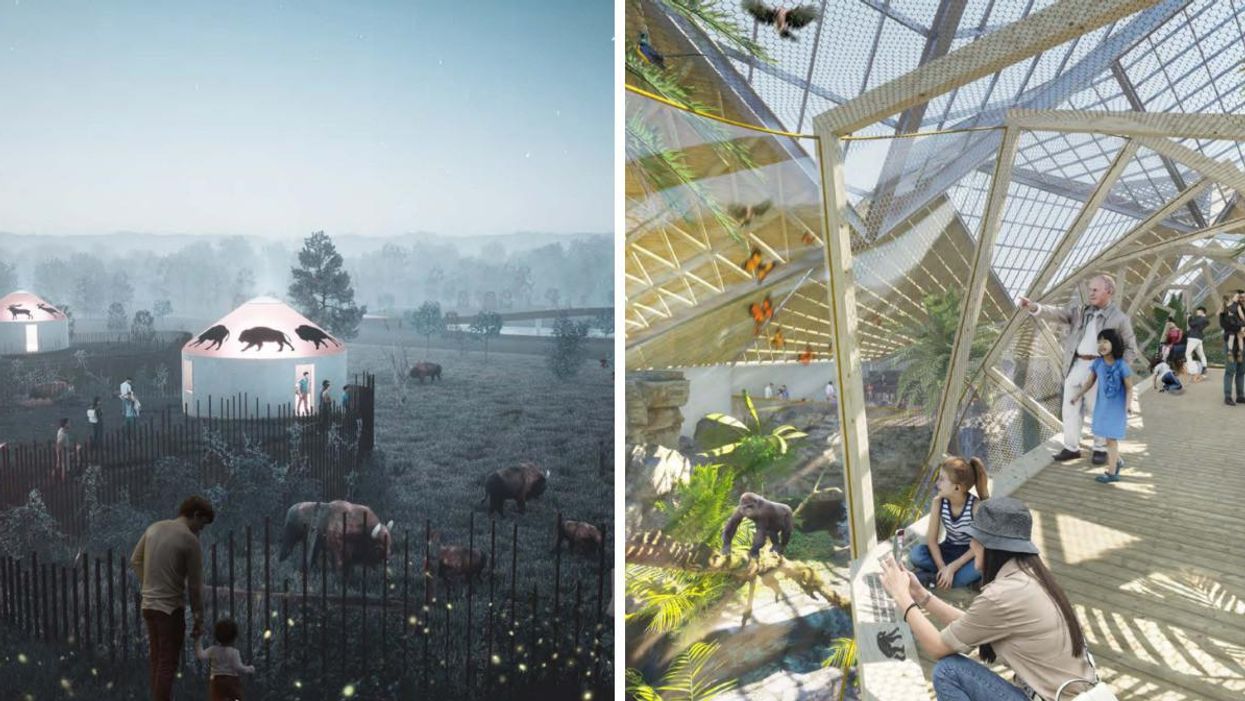 The Toronto Zoo Is Getting A Huge Makeover With Yurts & Dining Areas Surrounded By Animals