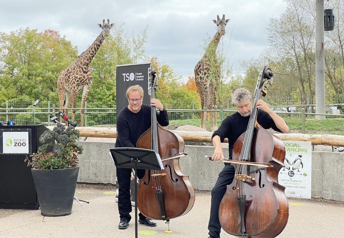 The Toronto Zoo & Toronto Symphony Orchestra Are Making A 'Zoophony' Using Animal Sounds