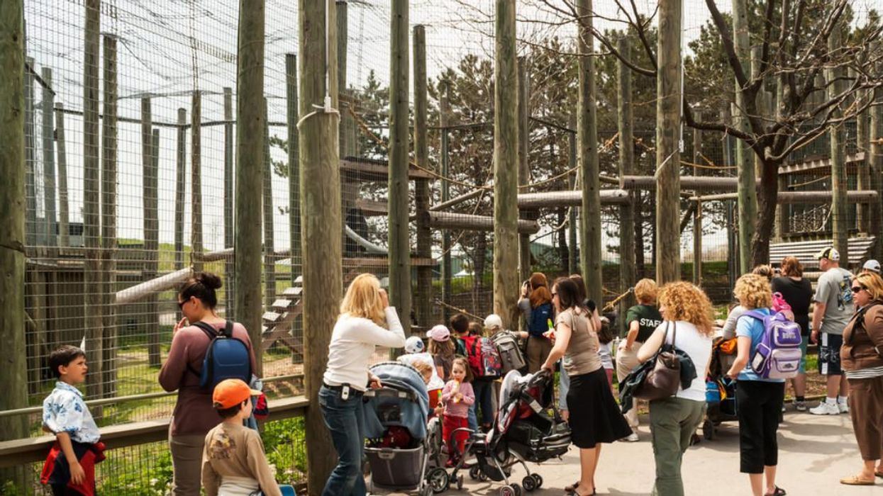 The Toronto Zoo Will Only Allow Fully Vaccinated Guests To Visit Starting This Month