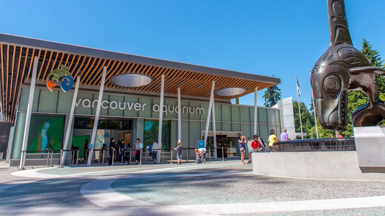 The Vancouver Aquarium Is Now Owned By The Company Behind 'Dollywood'