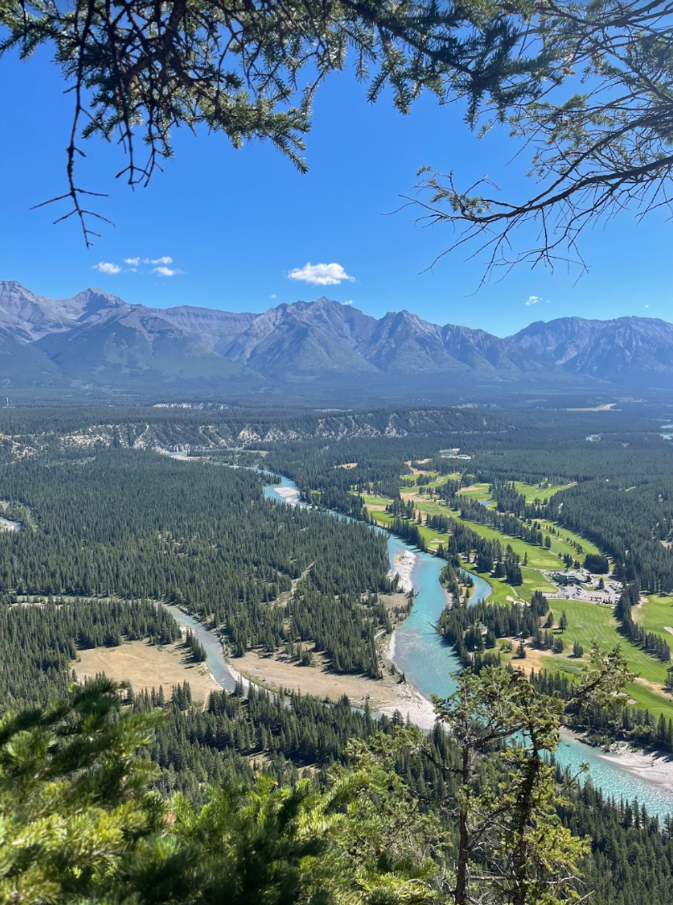 The view from Tunnel Mountain.