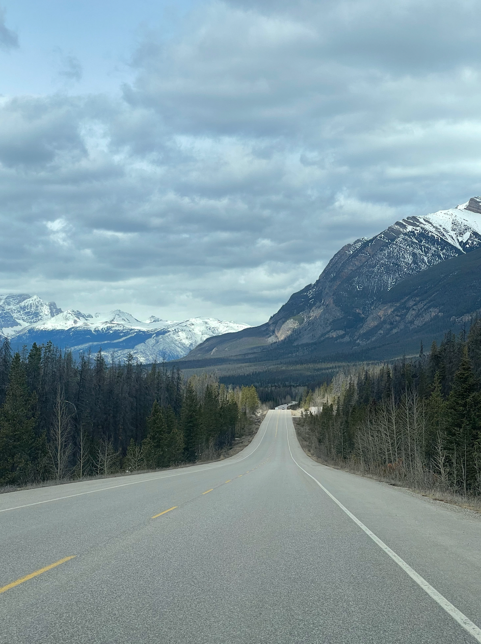 The view on Icefields Parkway.