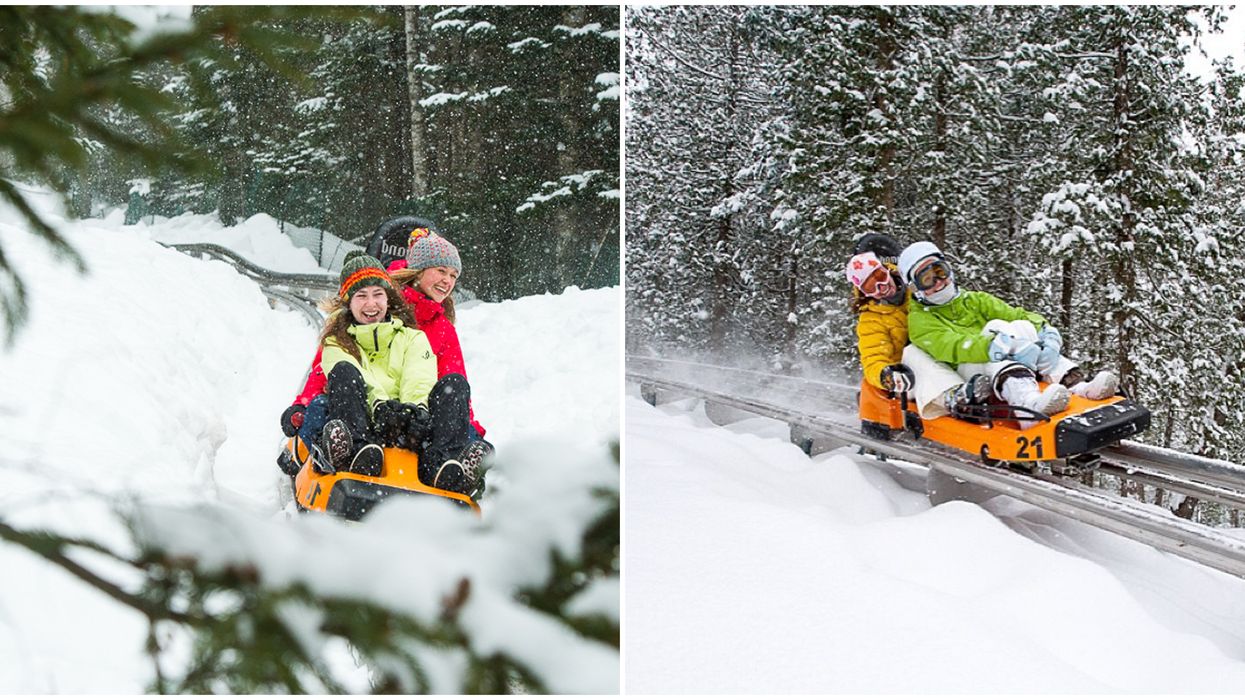 The Viking In Saint-Sauveur Is A Thrilling 1.5-km Winter Mountain Coaster