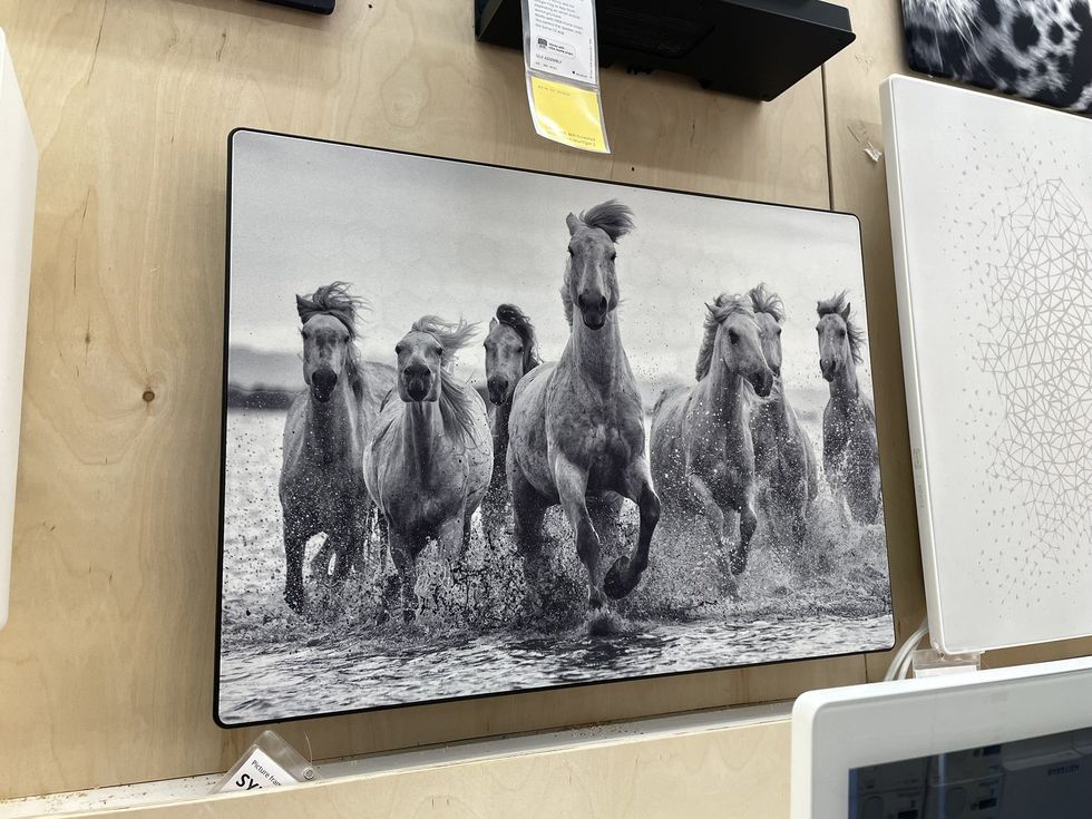 The wall mounted photo speaker.