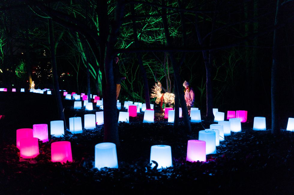 The Winter Wonders trail at the Royal Botanical Gardens.