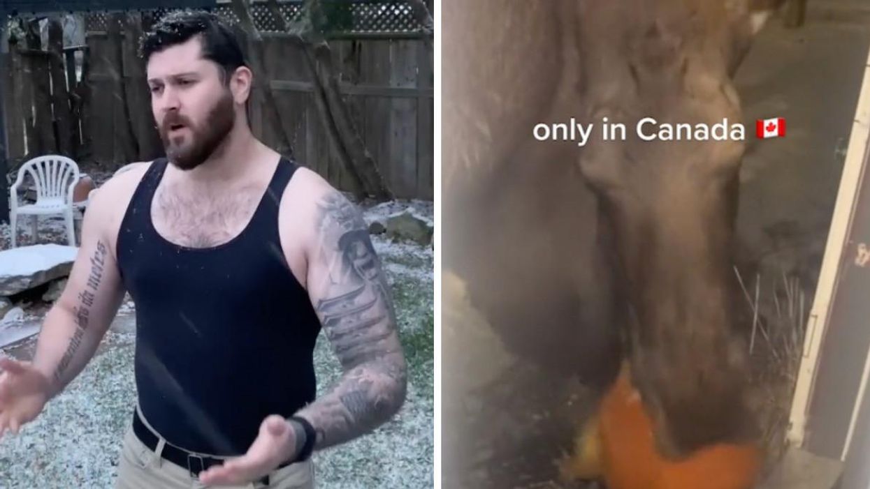These 5 TikToks Show 'Only In Canada' Moments & They're Hilariously Accurate