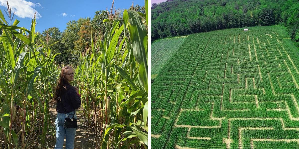 You Can Race To The Finish In These Corn Maze Escape Rooms Near Ottawa ...