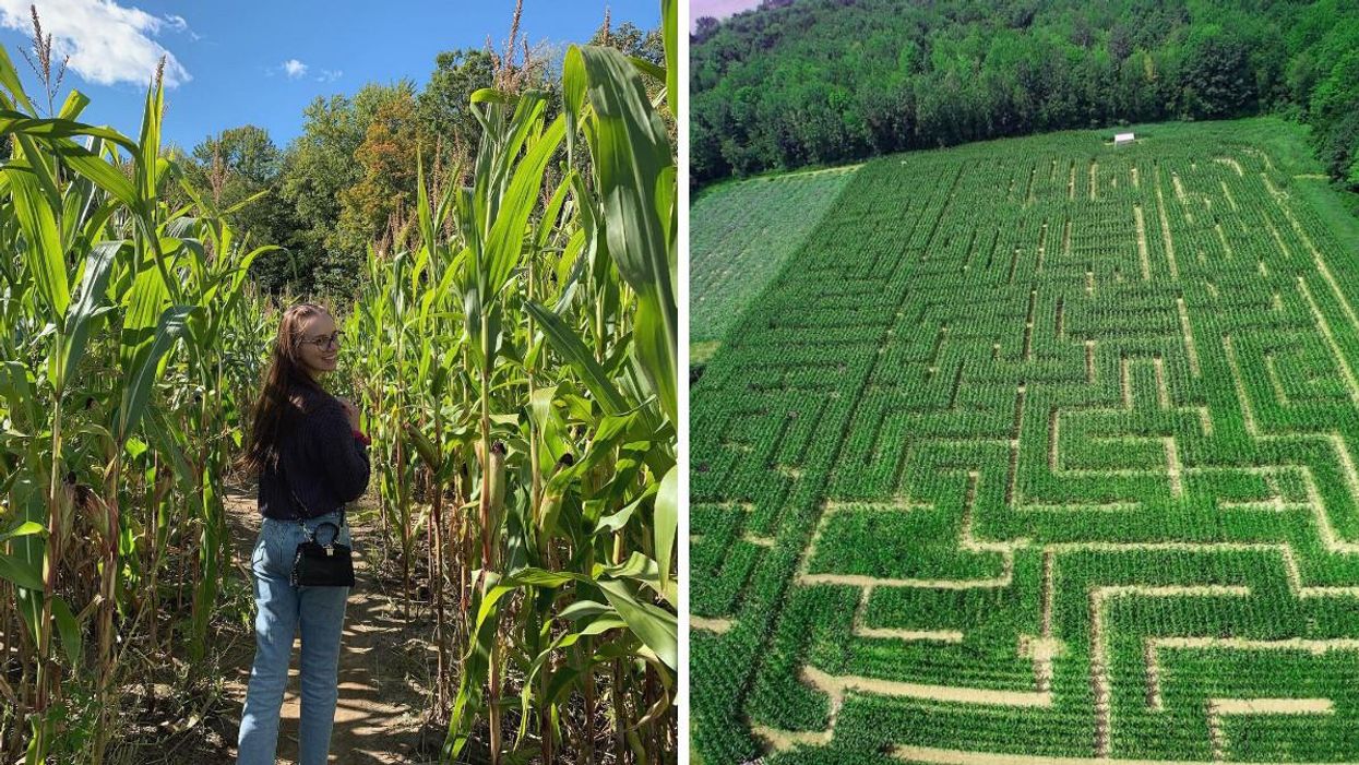 These Escape Room Corn Mazes Near Ottawa Will Make You Feel Like A Detective