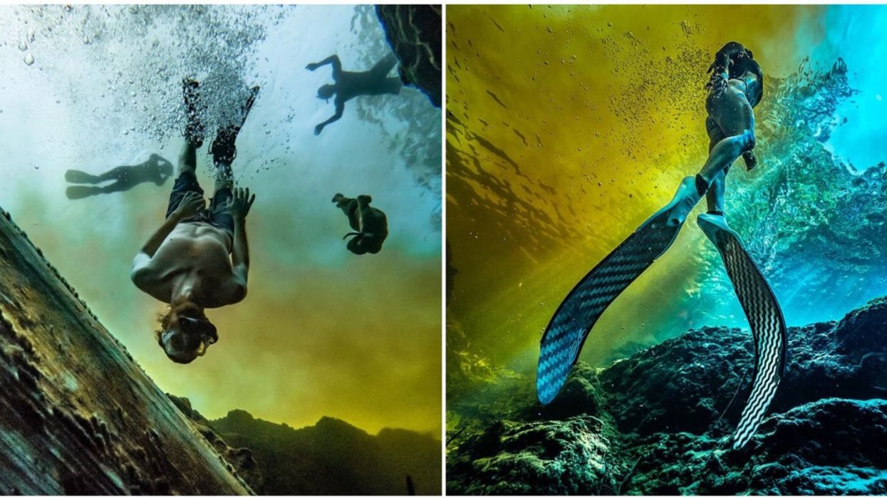 Ginnie Springs Through Captivating Photos